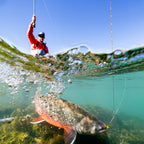 Kosopabul Shallow & Still Water(1-3 meters) Vertical Gravity Sensing LED Fishing Float Kit